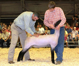 minnesota state fair 4 h